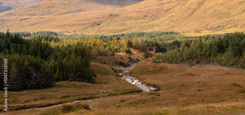 Views around the Isle of Mull, Scotland photo