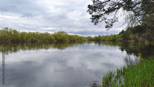 In early spring, the water in the river is high and muddy. The fast current floods the floodplain and the banks. The water reflects the sky with clouds, bushes and trees with young foliage