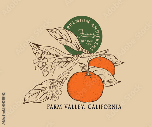 Orange with leaf and flower hand drawn vector art, retro vintage fruit artwork t shirt, sticker, poster, graphic print, farm fresh fruit vector art