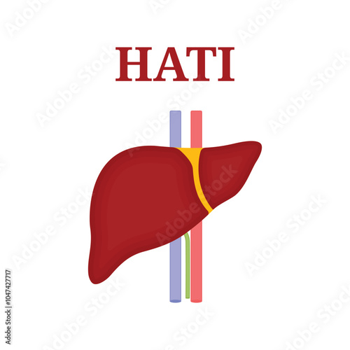 Human liver icon. Flat illustration of human liver vector icon for web design