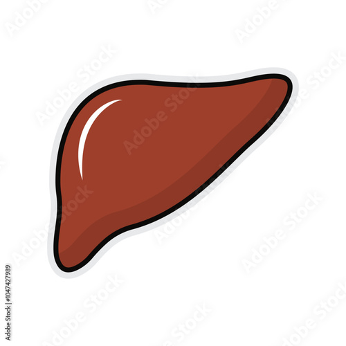 Human liver icon. Flat illustration of human liver vector icon for web design