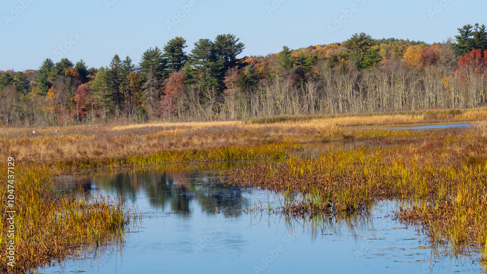 autumn wetlands scene autumn wetlands scene