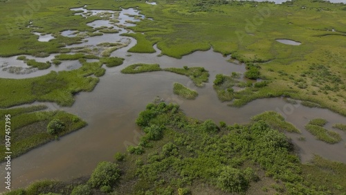 Natural wetland tidal marsh with wildlife near St Augustine Beach Florida next to residential homes along coastline AIA scenic Byway photo