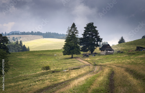 Serene Countryside Trail in Tatra National Park