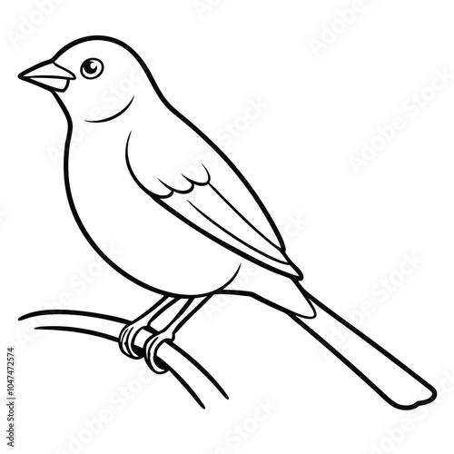 Nightingale Bird Branch Line Art Vector.