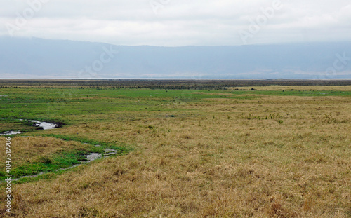 scenic landscape in the serengeti