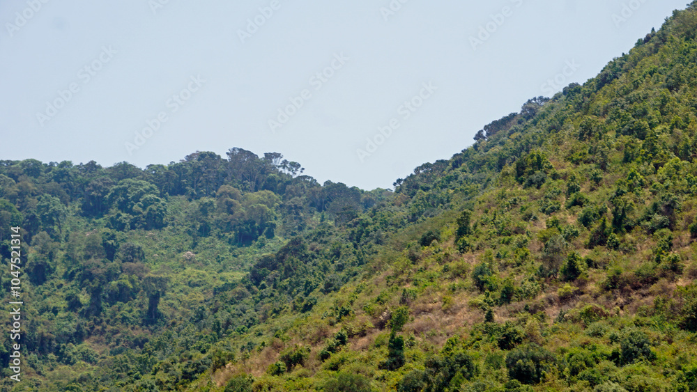 Fototapeta premium scenic landscape in the serengeti