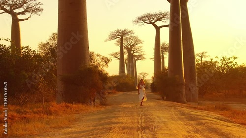 Golden sunlight envelops the iconic avenue of the baobabs in Madagascar, creating a breathtaking scene filled with warm hues and highlighting the beauty of this unique landscape