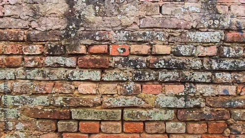 Discovering the Beauty of Aged Brick Walls With Moss and Lichen Patterns