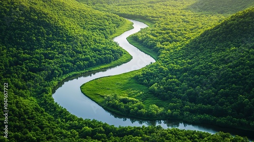 A scenic view of a winding river cutting through a lush green forest, captured from a high vantage point.