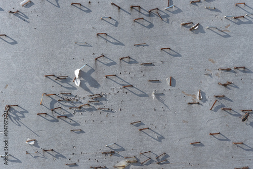 close-up of many rusty staples tacked to a message board outdoors