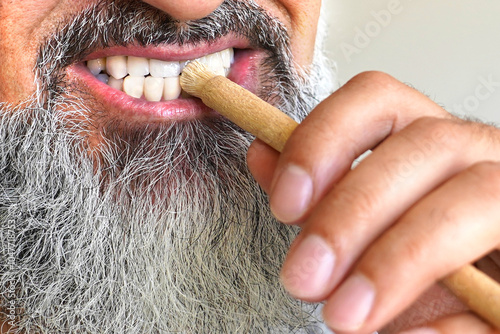 Old islamic traditional natural toothbrush Miswak or Siwak. (Salvadora persica) was used by the Babylonians some 7000 years ago and Greek, Roman empires, and also by ancient Egyptians and Muslims.