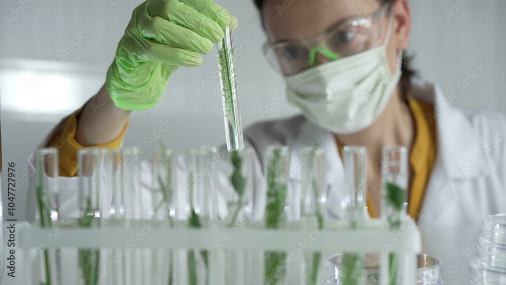 Female scientist wearing a lab coat, green gloves and mask looking to the test tube with plants inside, close up. Science and medicine
