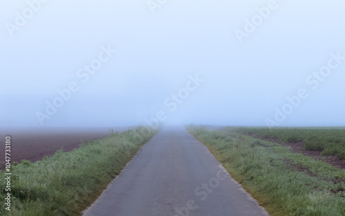 Misty Road Winds Through Lush Fields in a Beautifully Foggy Landscape, Evoking Reflection