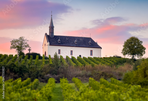 An enchanting vineyard accompanied by a picturesque church illuminated by the sunset glow