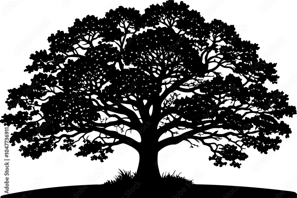 Obraz premium Sprawling Oak Tree Silhouette Against Sunset Sky