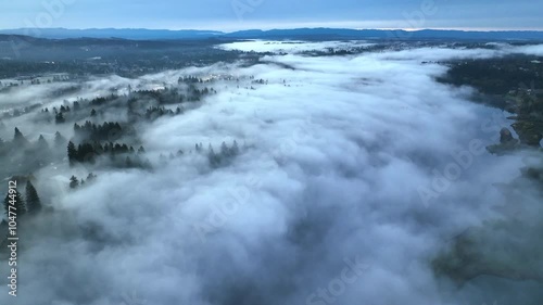 Wallpaper Mural Early morning fog drifts above the Willamette River in West Linn, Oregon. This scenic, forested area lies just south of the Pacific Northwest city of Portland. Torontodigital.ca