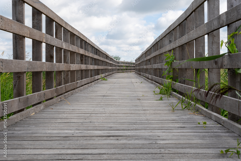 wooden bridge in the forest wooden bridge in the forest