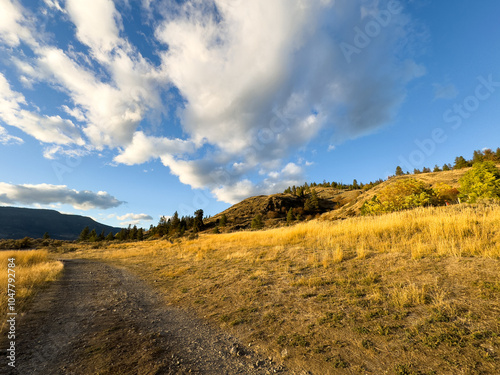 Dirt road in the mountains under a blue sky with autumn glow on dried yellow grass