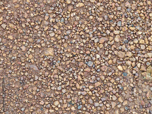 Colored stones (soil) and the background texture.