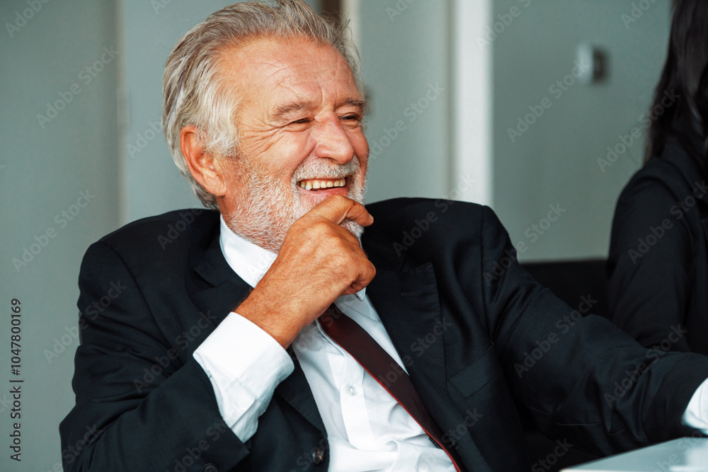 Senior male CEO executive businessman in office. Business people concept. uds Senior male CEO executive businessman in office. Business people concept. uds