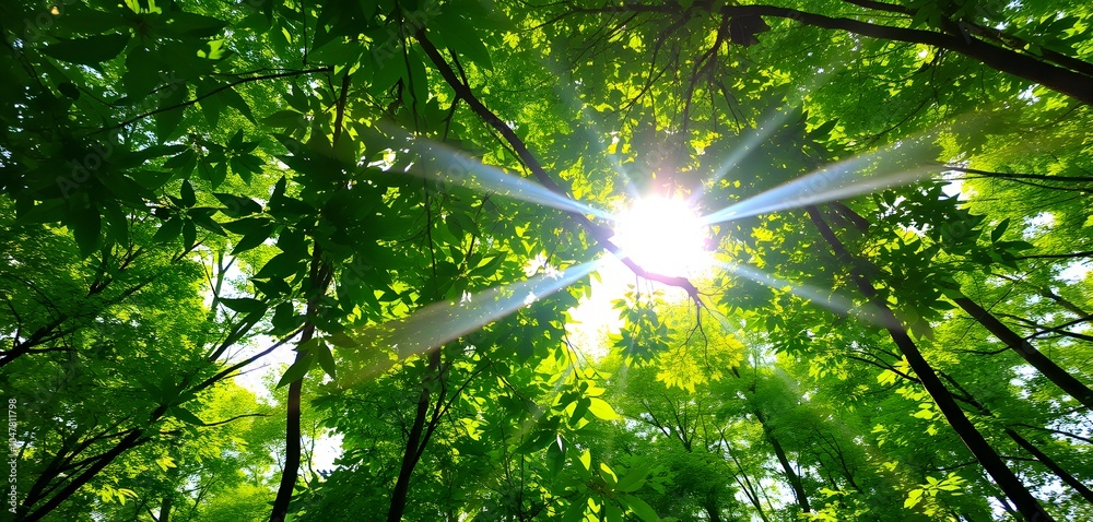 Obraz premium Lush green forest canopy with sun rays filtering through leaves created with generative AI