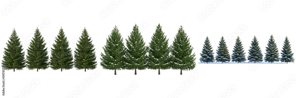 Realistic Green Trees for Nature Scenes isolated on transparent background Realistic Green Trees for Nature Scenes isolated on transparent background
