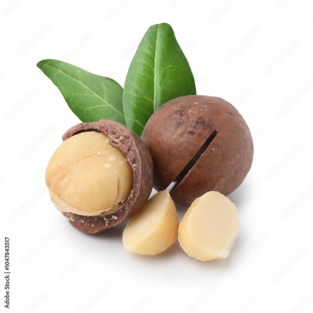 Macadamia nuts and green leaves on white background Macadamia nuts and green leaves on white background