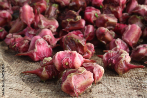 Water Chestnut Trapa natans fruit on shop photo