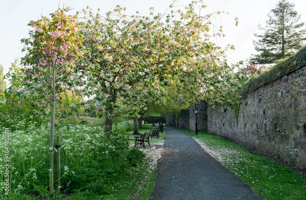 May in a Park in the UK 