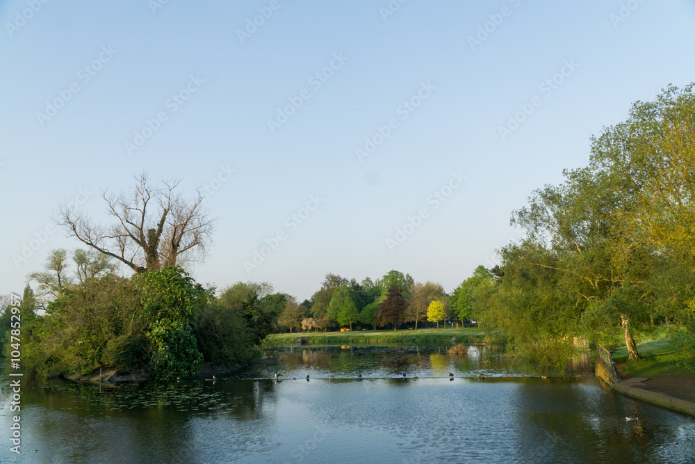 Fototapeta premium Lake in a Park, UK during May.