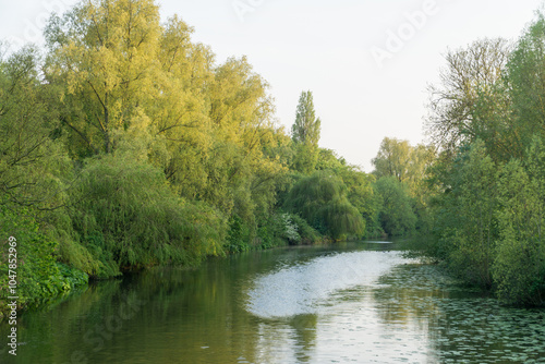 Lake in a Park, UK during May.