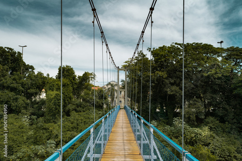 Ponte pênsil em perspectiva