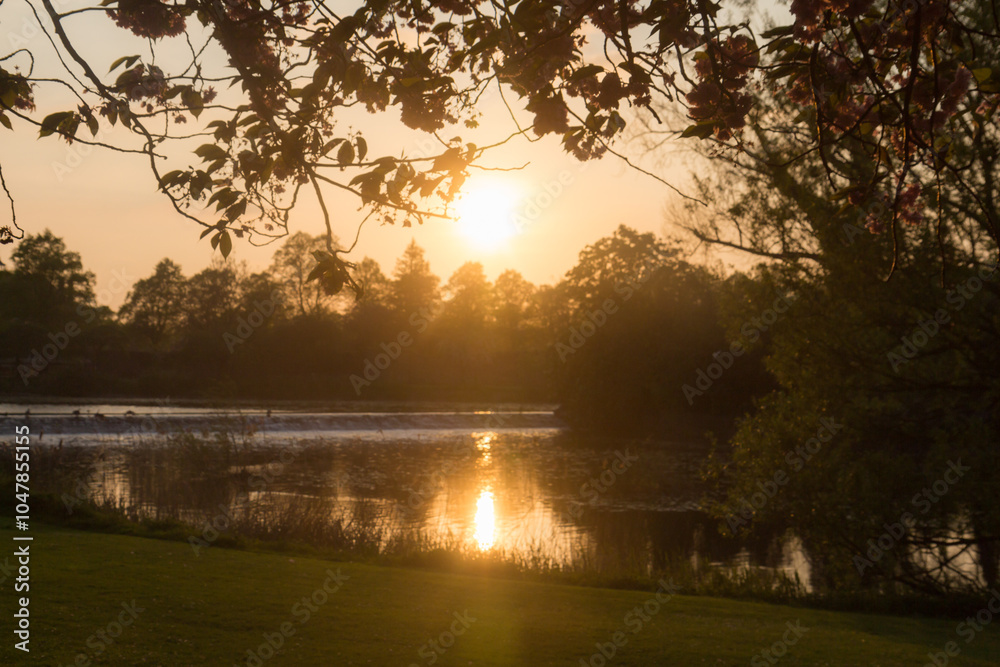 Obraz premium sunrise in the park