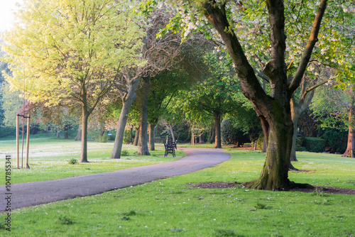 trees in the park