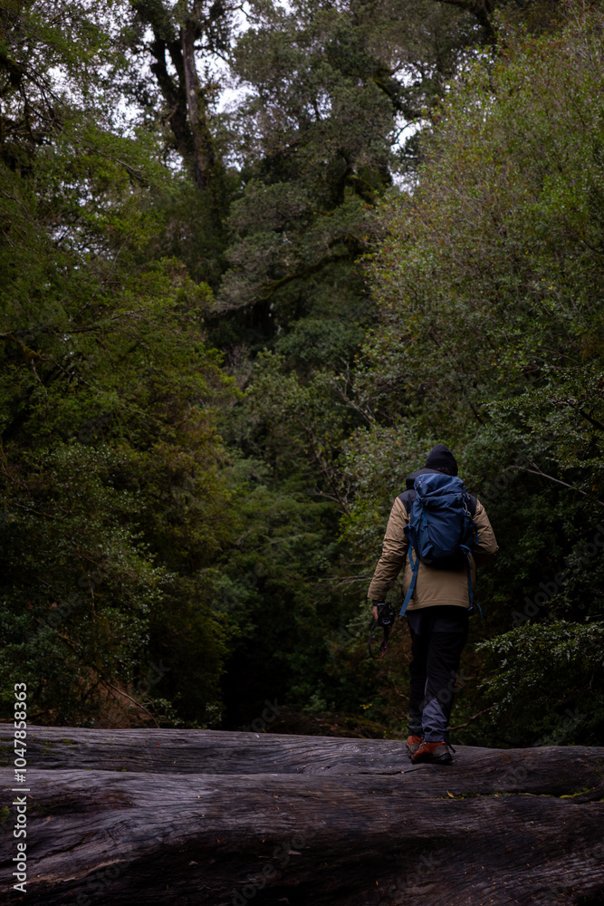 Young adult man with blue backpack taking a hiking route in admiration of the mountain, pure and wild nature, jungle, natural reserve, national park Young adult man with blue backpack taking a hiking route in admiration of the mountain, pure and wild nature, jungle, natural reserve, national park