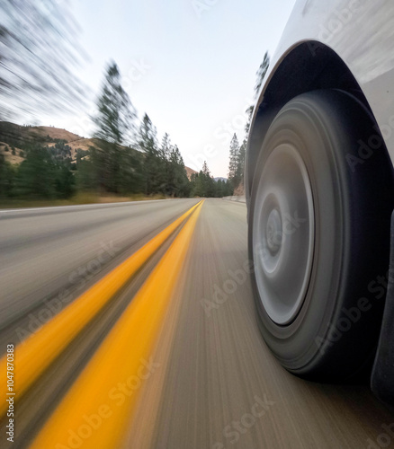 pov of a car moving through the forest
