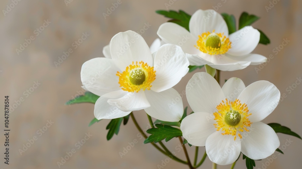 Obraz premium Erleben Sie die Detailtreue einer Erdbeerpflanze im Blumenkasten in beeindruckender Makroaufnahme.