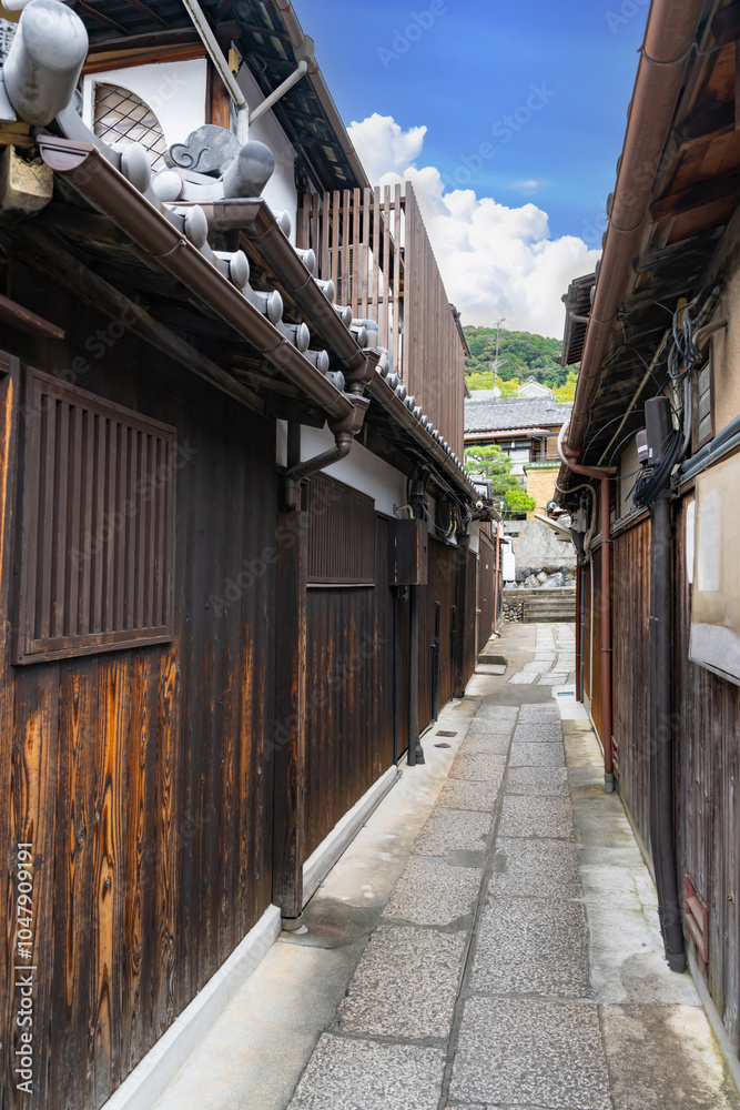 Fototapeta premium 京都祇園の街並み