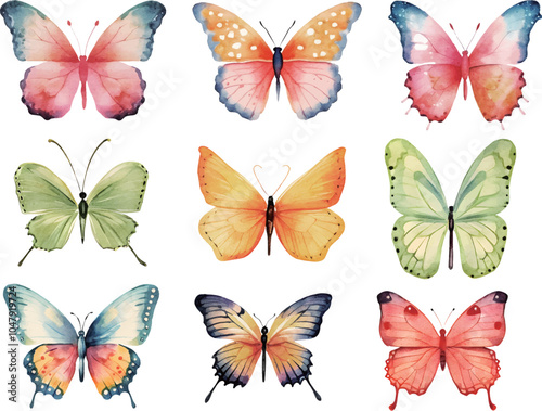 collection of butterflies