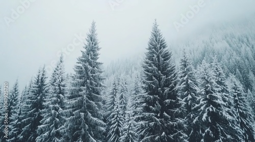 Enchanting winter wonderland, snowcovered trees in a serene forest landscape snowy