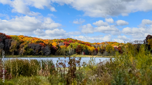autumn landscape with lake
