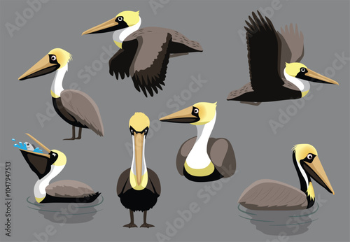 Brown Pelican Poses Bird Vector Illustration