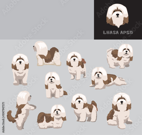 Foto Lhasa Apso Dog Cartoon Vector Illustration Color Variation Set