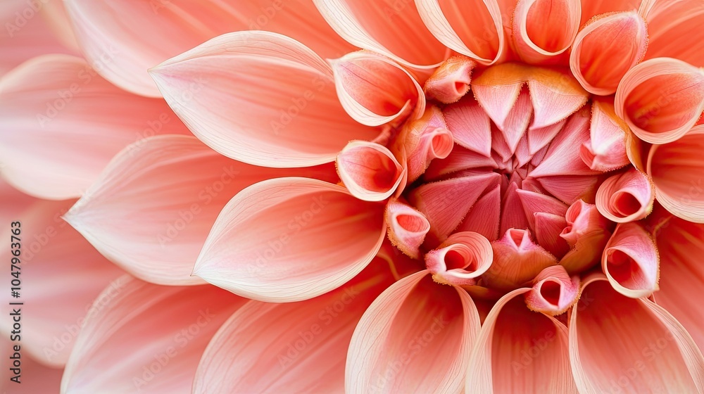 A close-up of a delicate pink flower showcasing soft petals and intricate patterns at its center, emphasizing its natural beauty and elegance. A close-up of a delicate pink flower showcasing soft petals and intricate patterns at its center, emphasizing its natural beauty and elegance.