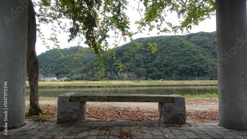 ベンチ, 公園,椅子