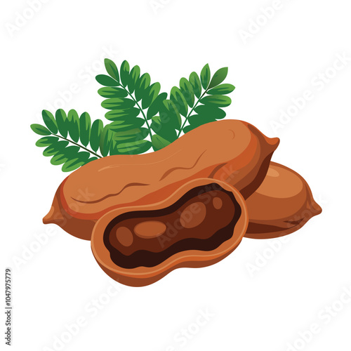 Tamarind vector illustration Isolated white background.