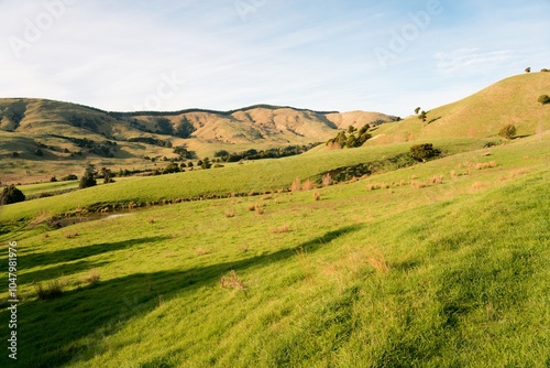 Wallpaper Mural Lush Green Fields in Rural New Zealand - Scenic Countryside Landscape Torontodigital.ca