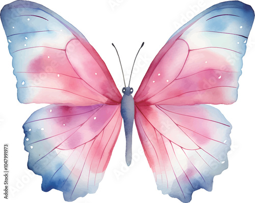 butterfly isolated on white background