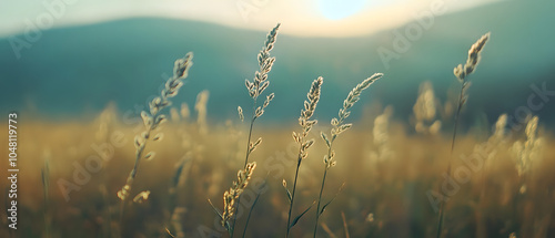 Calm Morning in a Natural Setting